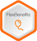 Icon FlexBenefits – modul pentru gestionarea beneficiilor flexibile în SCRIB Web EDP
